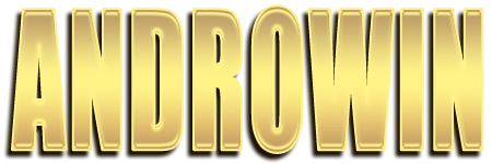 Logo ANDROWIN